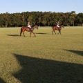 Experience the Exciting World of Equestrian Events at Aiken Polo Club