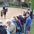 Experience the Thrill of Aiken Horse Trials in South Carolina