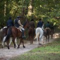The Ultimate Guide to the Hitchcock Woods Foundation Trail Ride and Gala in Aiken, SC