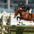 Experience the Thrilling World of Equestrian Events in Aiken, SC