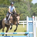 Equestrian Events in Aiken, SC: A Professional's Guide