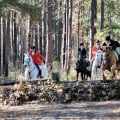 The Prestigious Hitchcock Woods Hunt Club: A Century of Tradition and Excellence