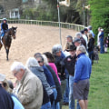 Exploring the Equestrian Events in Aiken, SC