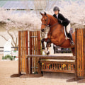 Exploring the Equestrian Scene in Aiken, SC: A Parent's Guide