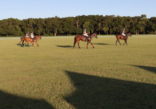 Experience the Exciting World of Equestrian Events at Aiken Polo Club