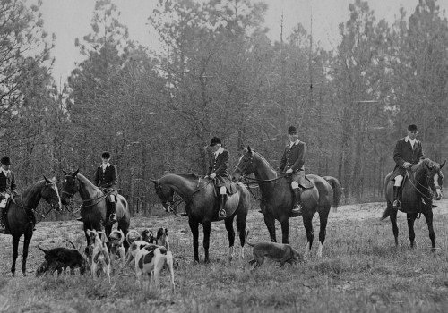 Uncovering the Magic of Hitchcock Woods: A Horse Lover's Paradise in Aiken, SC