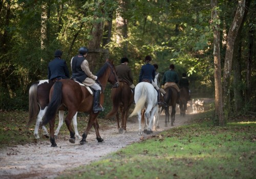 The Ultimate Guide to the Hitchcock Woods Foundation Trail Ride and Gala in Aiken, SC