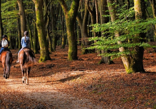 Experience the Thrilling World of Equestrian Events in Aiken, SC