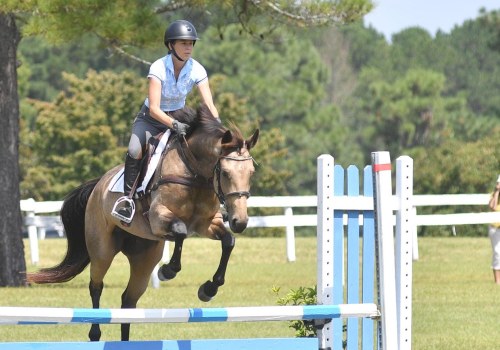 Equestrian Events in Aiken, SC: A Professional's Guide