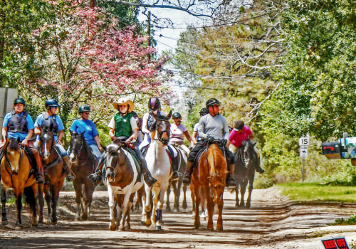 Exploring the Equestrian Scene in Aiken, SC
