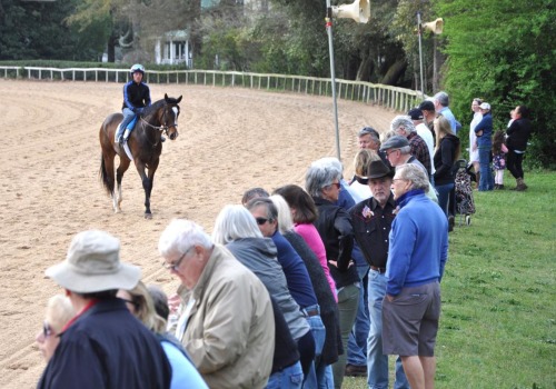 Experience the Excitement of Equestrian Events in Aiken, SC