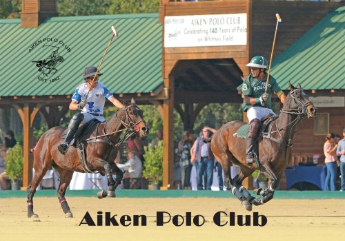 Discover the Thrilling World of Aiken SC Equestrian Events
