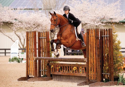 Exploring the Equestrian Scene in Aiken, SC: A Parent's Guide